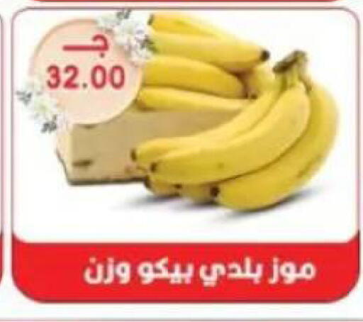 available at Sarhan Market in Egypt - Cairo