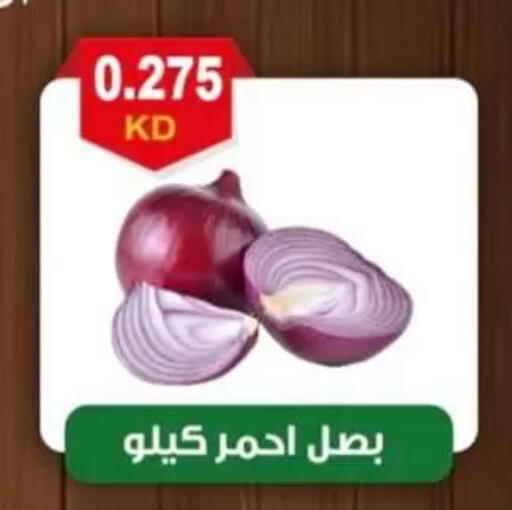 available at جمعية العقيلة التعاونية in الكويت - محافظة الأحمدي