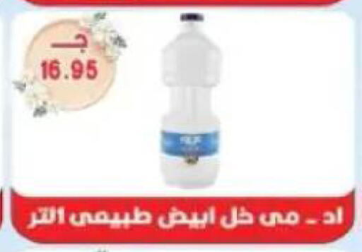 available at Sarhan Market in Egypt - Cairo