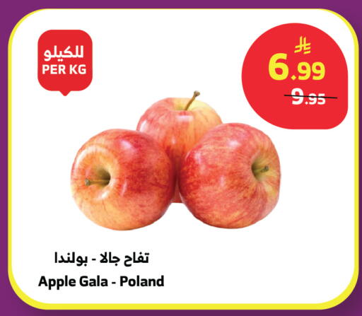 Apple from Poland available at الراية in مملكة العربية السعودية, السعودية, سعودية - تبوك