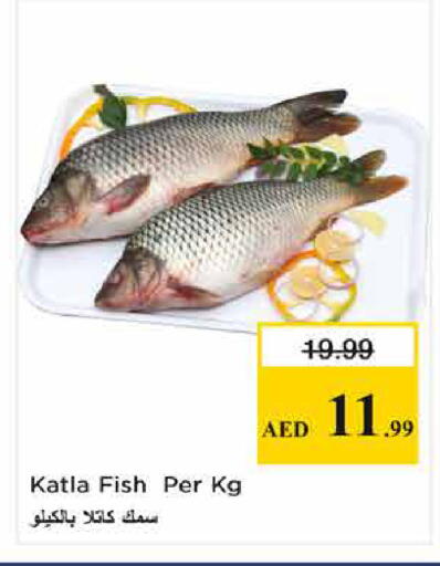 available at نستو هايبرماركت in الإمارات العربية المتحدة , الامارات - الشارقة / عجمان