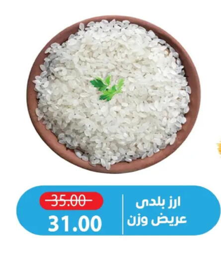 available at Zaher Dairy in Egypt - Cairo