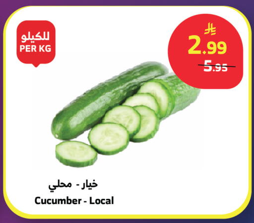 Cucumber available at Al Raya in KSA, Saudi Arabia, Saudi - Jeddah