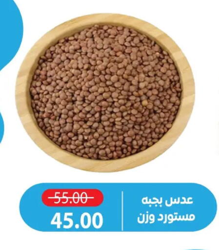 available at Zaher Dairy in Egypt - Cairo