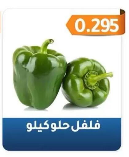 available at Al Fahaheel Co - Op Society in Kuwait - Jahra Governorate