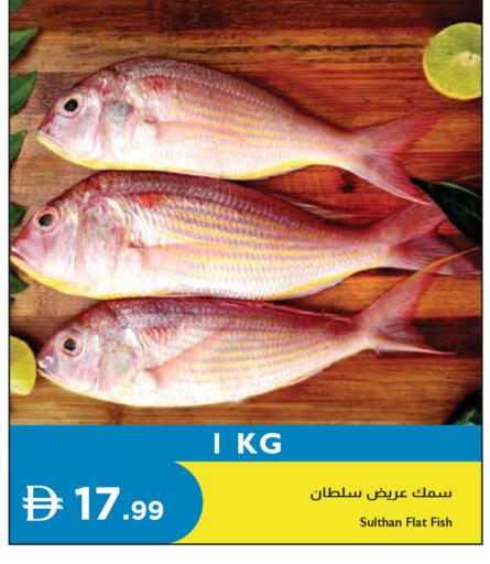 available at إسطنبول سوبرماركت in الإمارات العربية المتحدة , الامارات - رَأْس ٱلْخَيْمَة