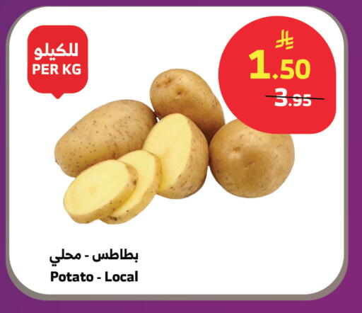 Potato available at الراية in مملكة العربية السعودية, السعودية, سعودية - تبوك