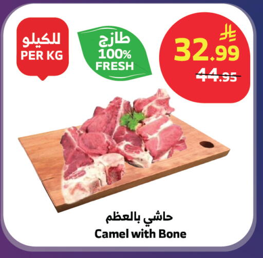 available at الراية in مملكة العربية السعودية, السعودية, سعودية - تبوك