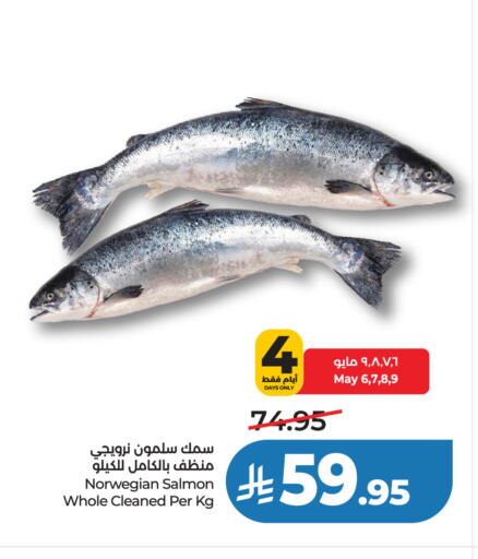 available at لولو هايبرماركت in مملكة العربية السعودية, السعودية, سعودية - تبوك