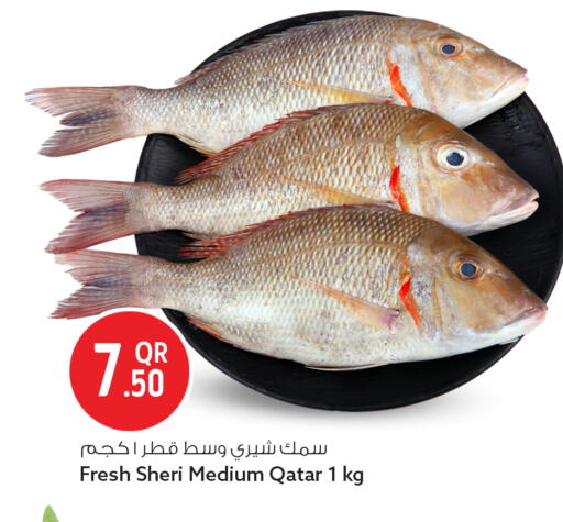 available at سفاري هايبر ماركت in قطر - الخور