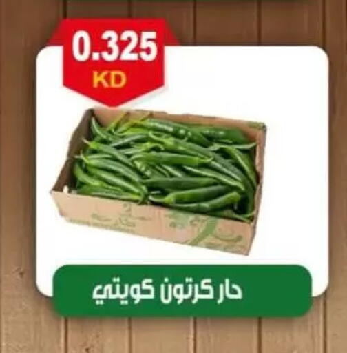 available at جمعية العقيلة التعاونية in الكويت - محافظة الأحمدي
