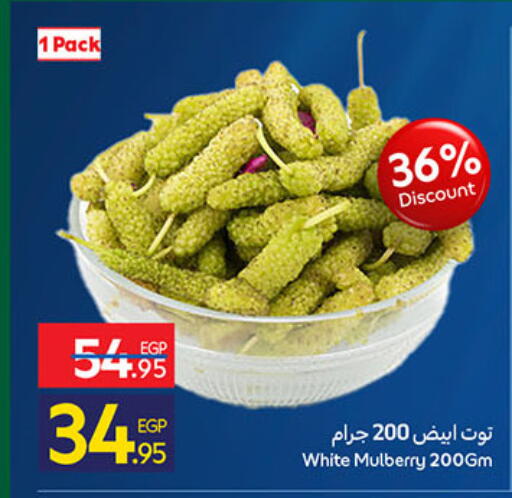 Mulberry available at كارفور in Egypt - القاهرة