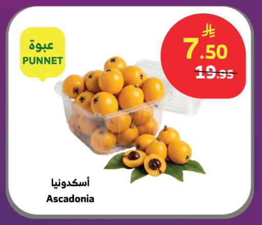 available at الراية in مملكة العربية السعودية, السعودية, سعودية - تبوك