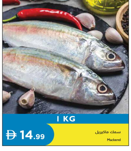 available at إسطنبول سوبرماركت in الإمارات العربية المتحدة , الامارات - رَأْس ٱلْخَيْمَة