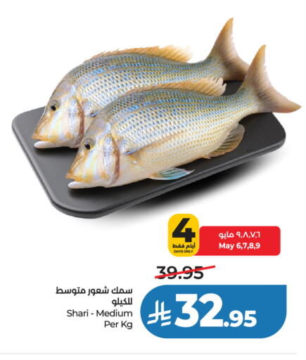 available at لولو هايبرماركت in مملكة العربية السعودية, السعودية, سعودية - تبوك