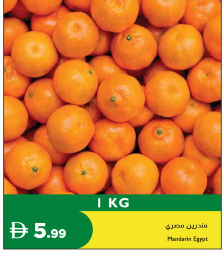 Mandarin from Egypt available at Istanbul Supermarket in UAE - Ras al Khaimah