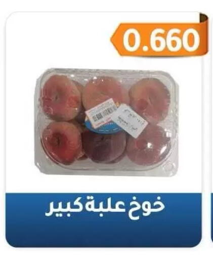 available at Al Fahaheel Co - Op Society in Kuwait - Jahra Governorate
