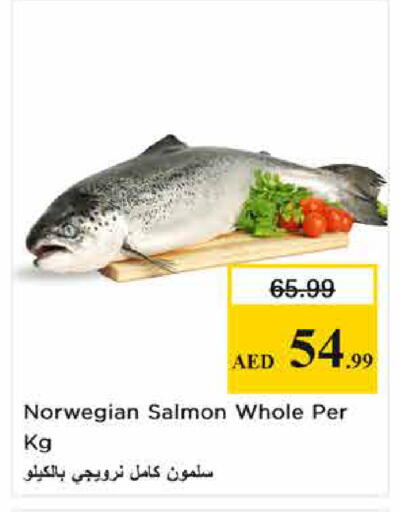 available at نستو هايبرماركت in الإمارات العربية المتحدة , الامارات - الشارقة / عجمان