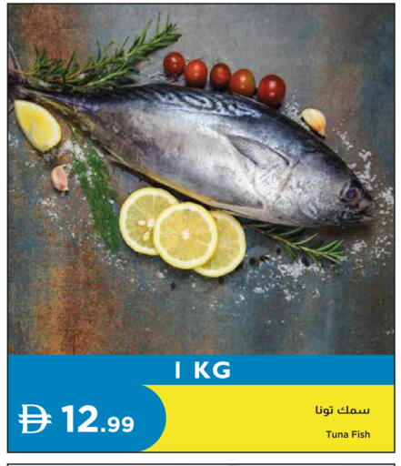 available at إسطنبول سوبرماركت in الإمارات العربية المتحدة , الامارات - رَأْس ٱلْخَيْمَة