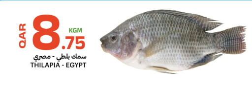 available at البلدي اليوم in قطر - الدوحة