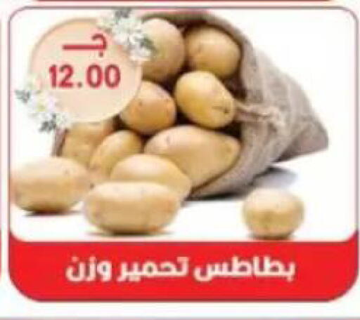 available at Sarhan Market in Egypt - Cairo