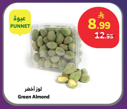 available at الراية in مملكة العربية السعودية, السعودية, سعودية - جدة