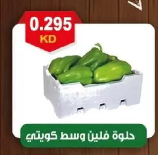 available at جمعية العقيلة التعاونية in الكويت - محافظة الأحمدي