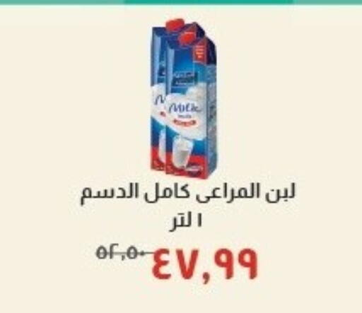 available at Kheir Zaman  in Egypt - Cairo