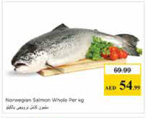 available at نستو هايبرماركت in الإمارات العربية المتحدة , الامارات - الشارقة / عجمان