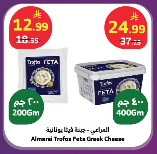 available at الراية in مملكة العربية السعودية, السعودية, سعودية - جدة