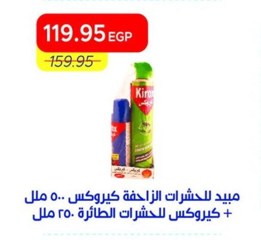available at Metro Market  in Egypt - Cairo