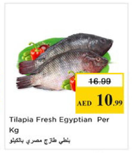 available at Nesto Hypermarket in UAE - Al Ain
