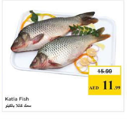 available at نستو هايبرماركت in الإمارات العربية المتحدة , الامارات - الشارقة / عجمان