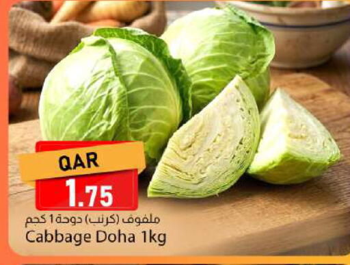 Cabbage from Qatar available at دانا ماركت in قطر - الدوحة