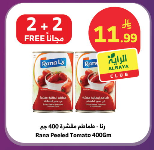 Tomato available at الراية in مملكة العربية السعودية, السعودية, سعودية - جدة
