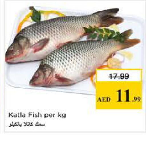 available at نستو هايبرماركت in الإمارات العربية المتحدة , الامارات - الشارقة / عجمان