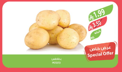 Potato available at المزرعة in مملكة العربية السعودية, السعودية, سعودية - الخرج