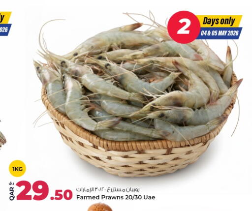 available at روابي هايبرماركت in قطر - الريان