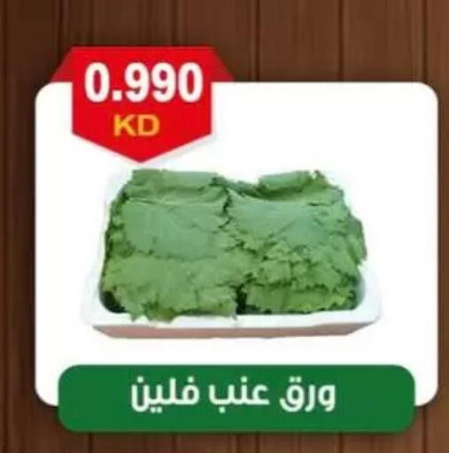 available at جمعية العقيلة التعاونية in الكويت - محافظة الأحمدي