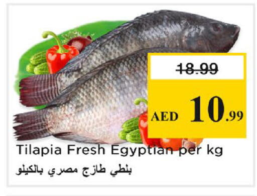 available at نستو هايبرماركت in الإمارات العربية المتحدة , الامارات - رَأْس ٱلْخَيْمَة