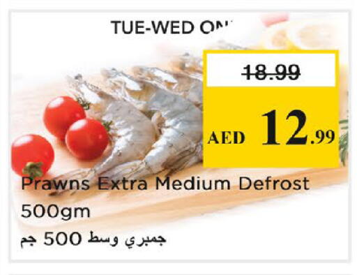 available at نستو هايبرماركت in الإمارات العربية المتحدة , الامارات - رَأْس ٱلْخَيْمَة