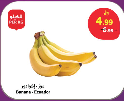 Banana from Ecuador available at Al Raya in KSA, Saudi Arabia, Saudi - Jazan