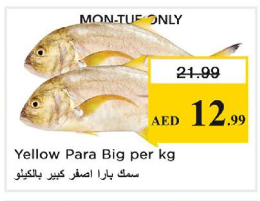 available at نستو هايبرماركت in الإمارات العربية المتحدة , الامارات - رَأْس ٱلْخَيْمَة