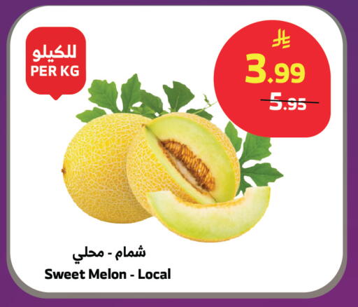 Melon available at الراية in مملكة العربية السعودية, السعودية, سعودية - تبوك