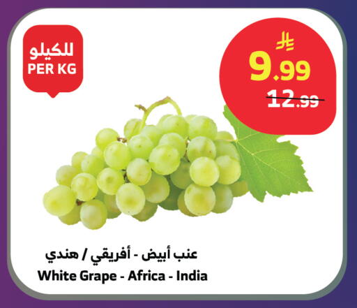 from India available at Al Raya in KSA, Saudi Arabia, Saudi - Yanbu