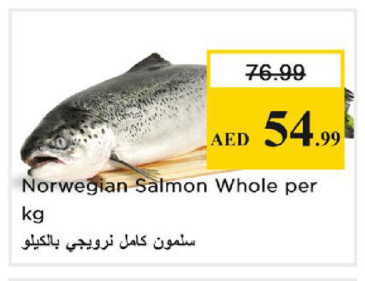 available at نستو هايبرماركت in الإمارات العربية المتحدة , الامارات - رَأْس ٱلْخَيْمَة