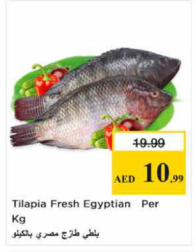 available at نستو هايبرماركت in الإمارات العربية المتحدة , الامارات - الشارقة / عجمان
