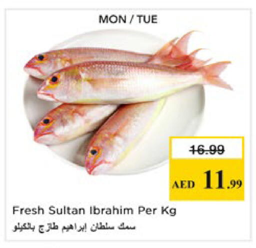 available at Nesto Hypermarket in UAE - Al Ain