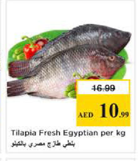 available at نستو هايبرماركت in الإمارات العربية المتحدة , الامارات - الشارقة / عجمان