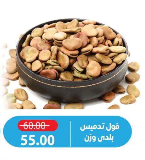 available at Zaher Dairy in Egypt - Cairo